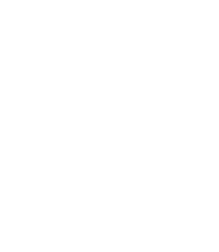 SentriLock LLC